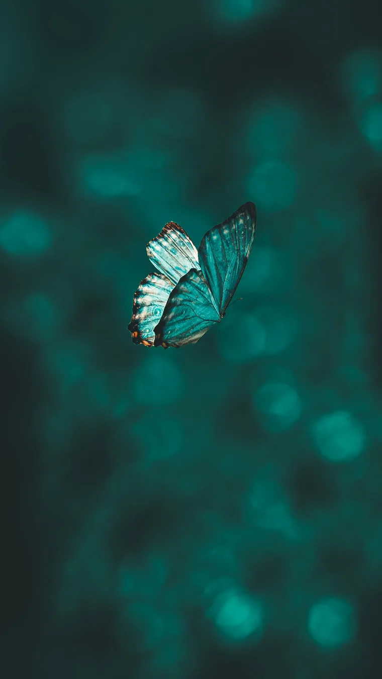 Mariposa turquesa en vuelo sobre un bosque profundo — la evolución del sistema